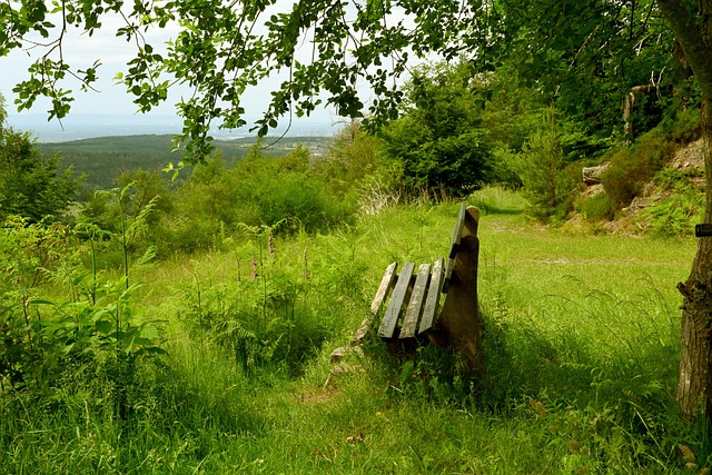 和全面的籃 和全面的籃