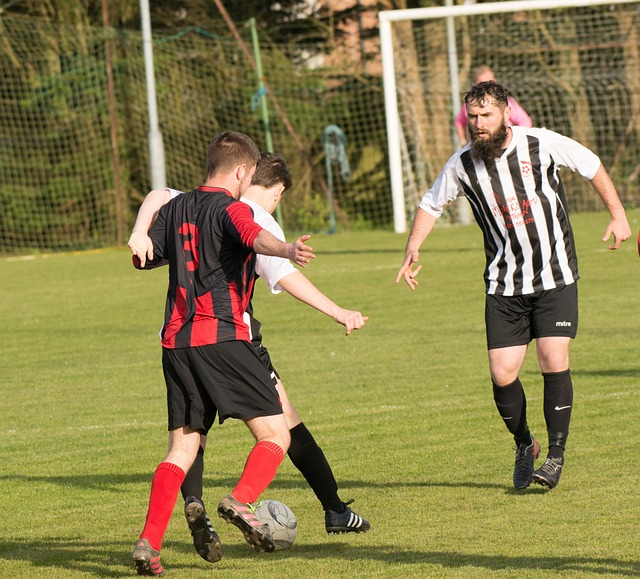 成精彩進球 成精彩進球