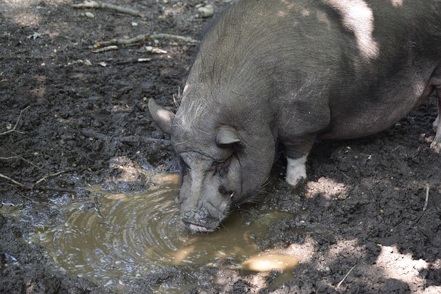 界杯预选赛 界杯预选赛