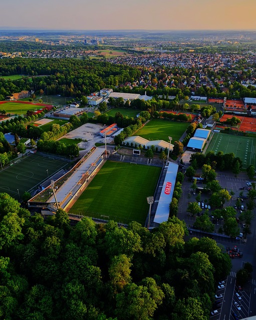 社会的共同 社会的共同