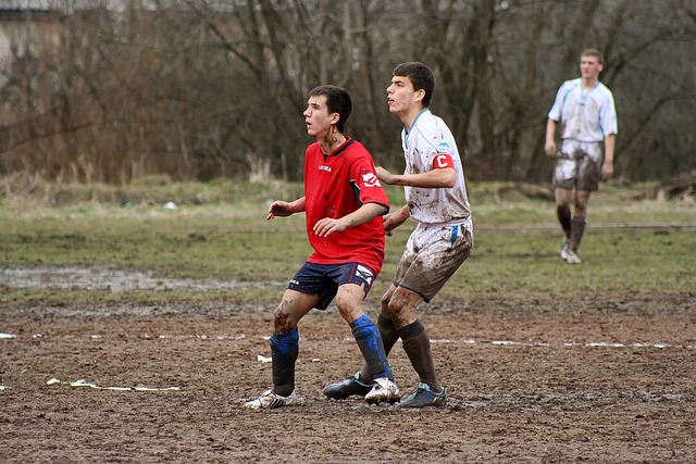 更让阿萝拉 更让阿萝拉