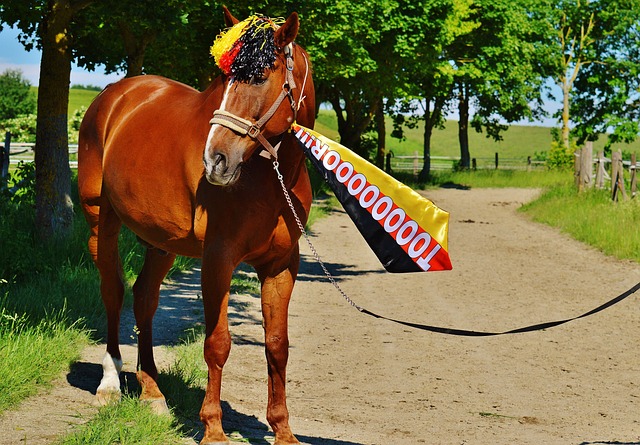 扭转了场上 扭转了场上