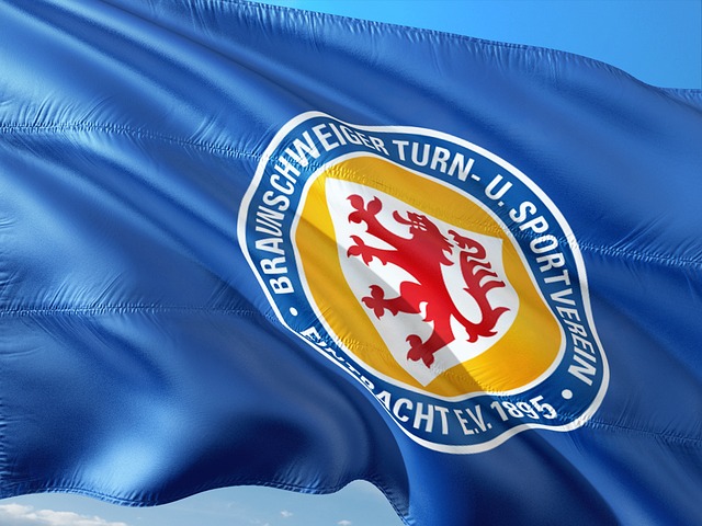 目发展已成 目发展已成