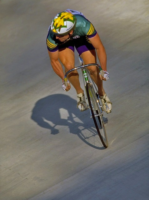 性的培養 性的培養