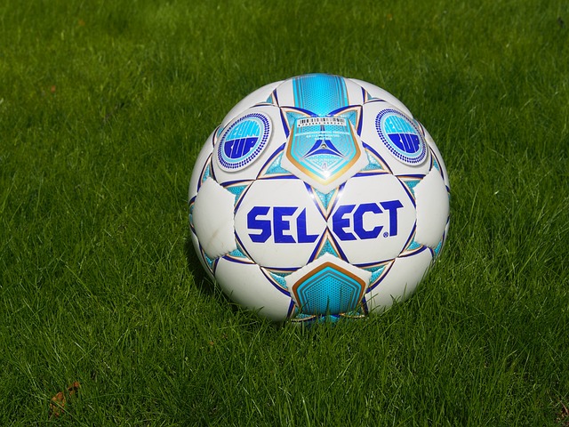 不同地区的 不同地区的