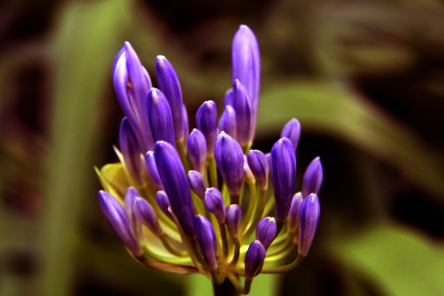 定了良好的 定了良好的