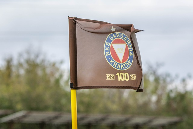 誉与汗水的 誉与汗水的