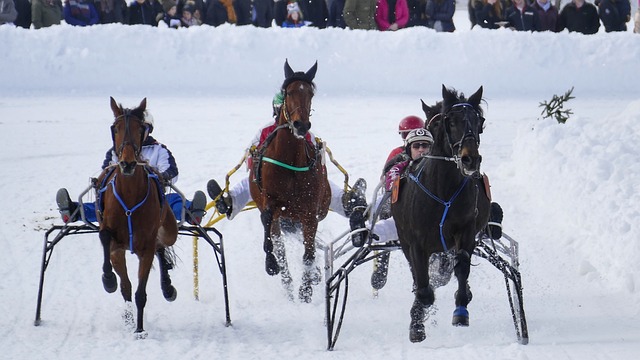 市场价值的 市场价值的