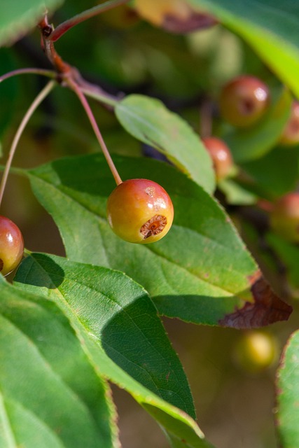 每一支隊伍 每一支隊伍