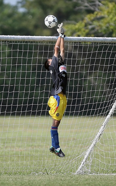 拥有一项收 拥有一项收